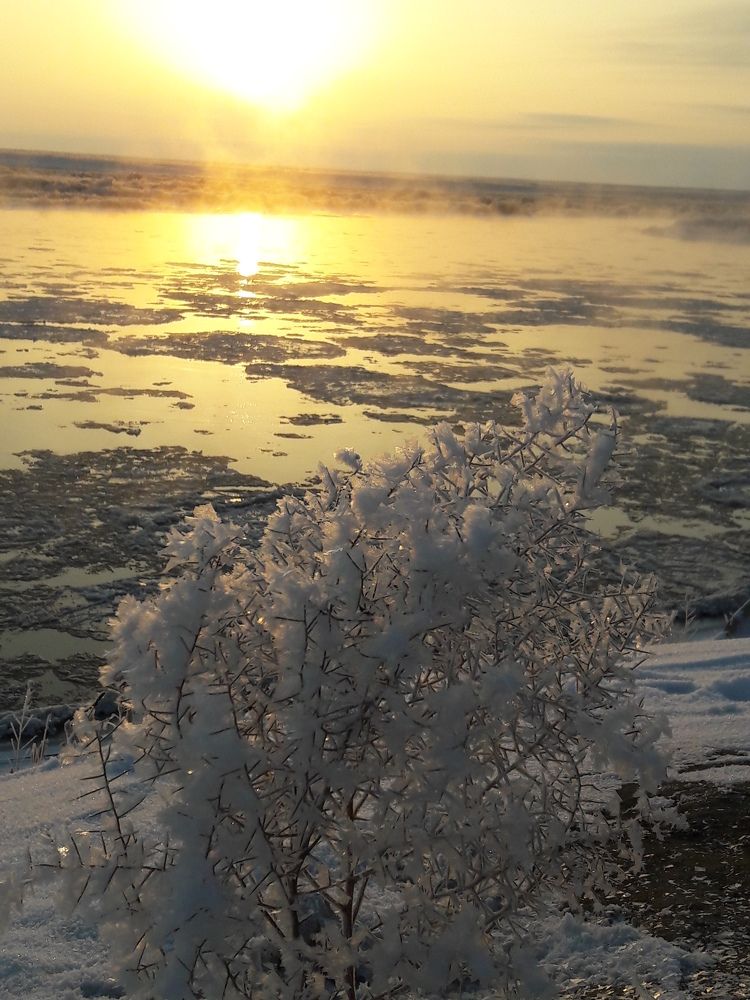 Photograph by Виталий Добрин