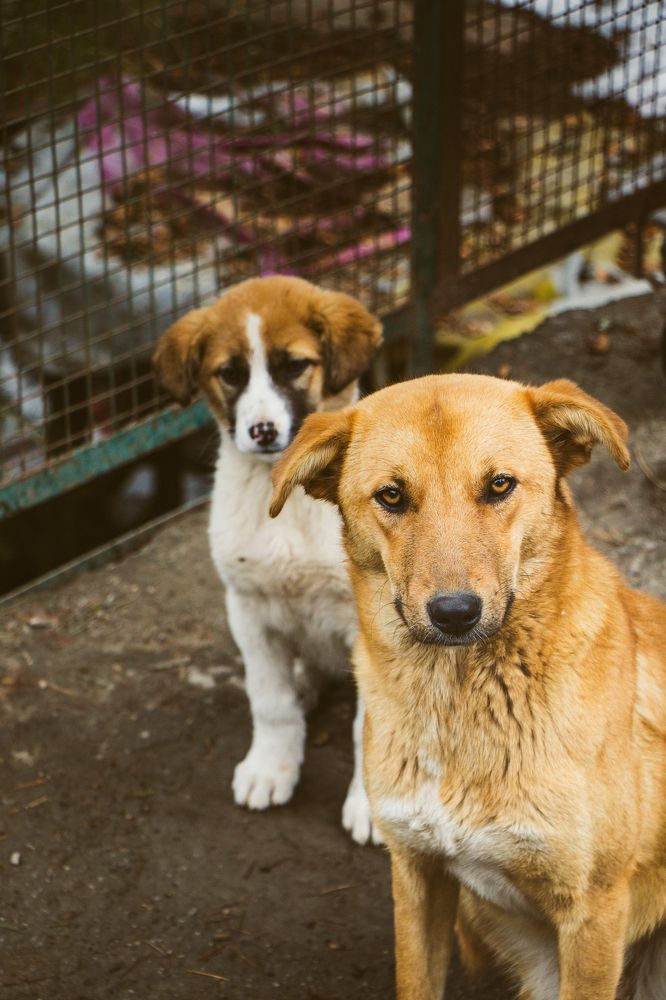 Photograph by Kanishka Jeewantha