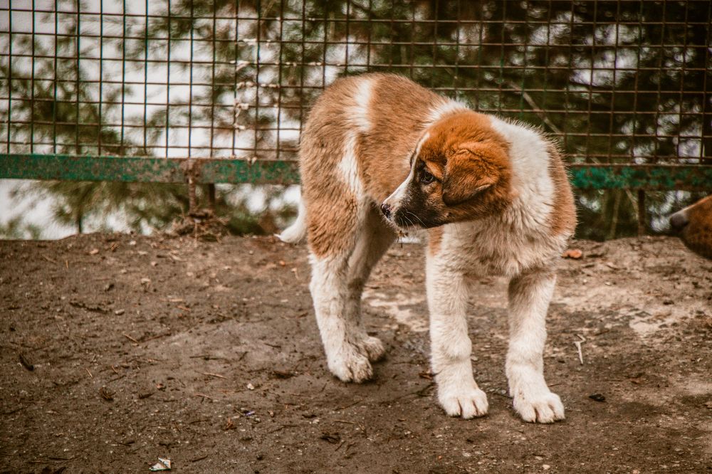 Photograph by Kanishka Jeewantha