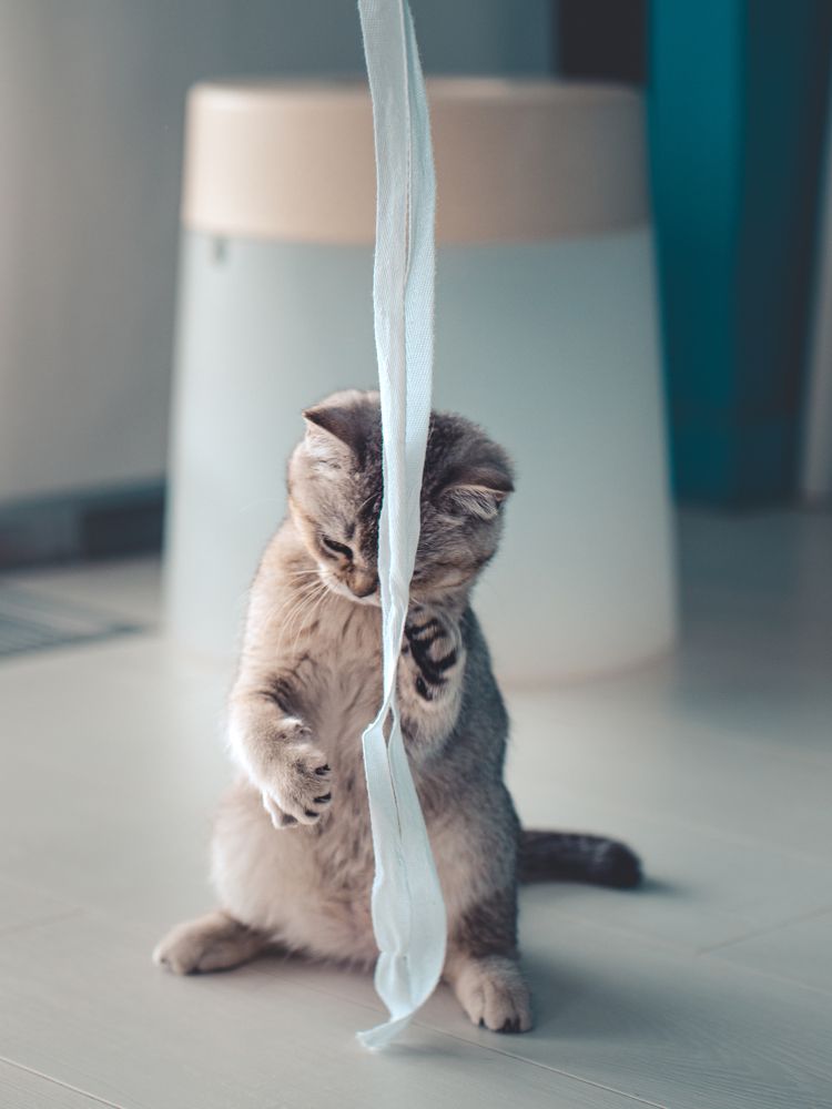 Photograph by Oxana Rovitskaya