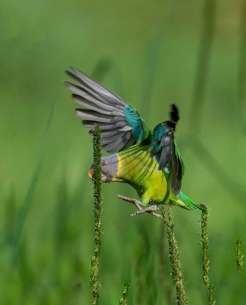 Photograph by Rageesh Thottathi