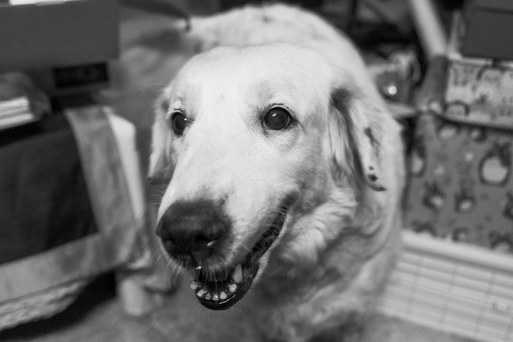 Photograph by EVELYN SIEW YEN CHAN