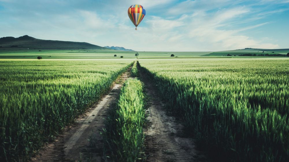 Photograph by Sorin Rizu