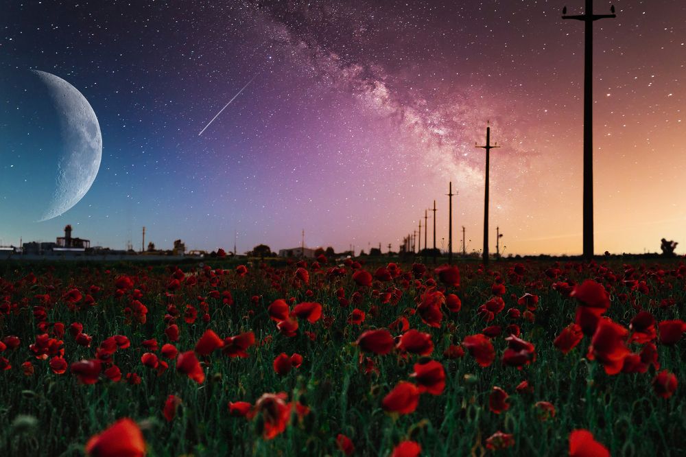 Photograph by Sorin Rizu