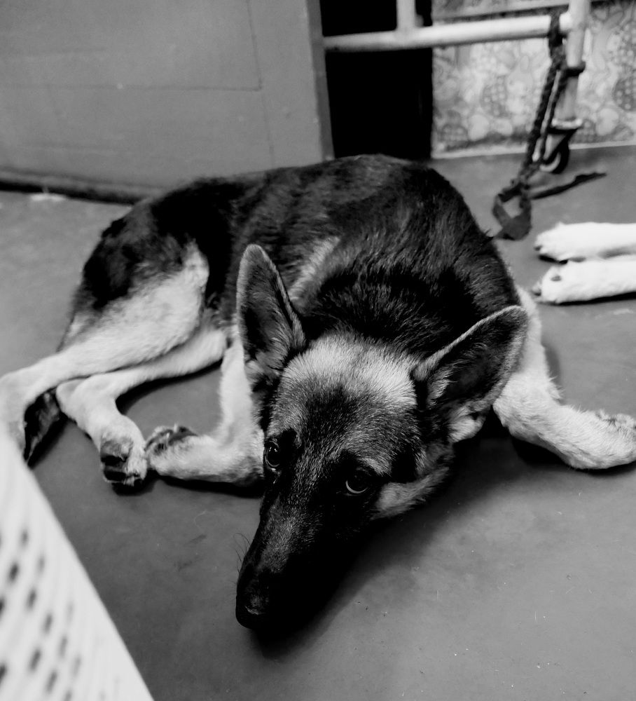 Photograph by EVELYN SIEW YEN CHAN