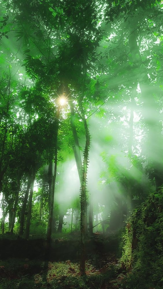 Photograph by Thannickal Arun