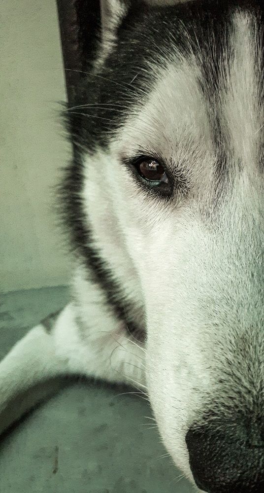 Photo #6188580