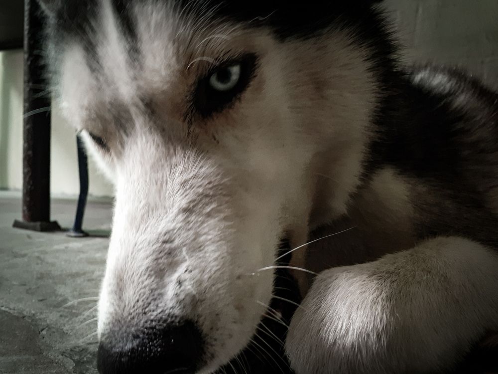 Photo #6188596