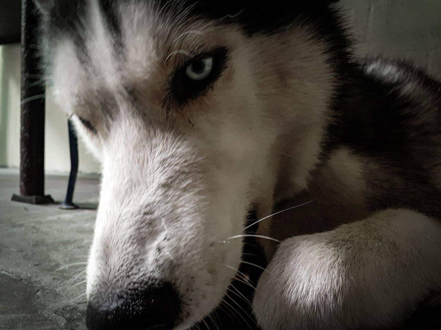 Photo #6188596