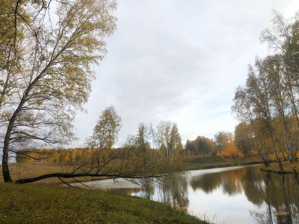 Photograph by Евгений Бабурин