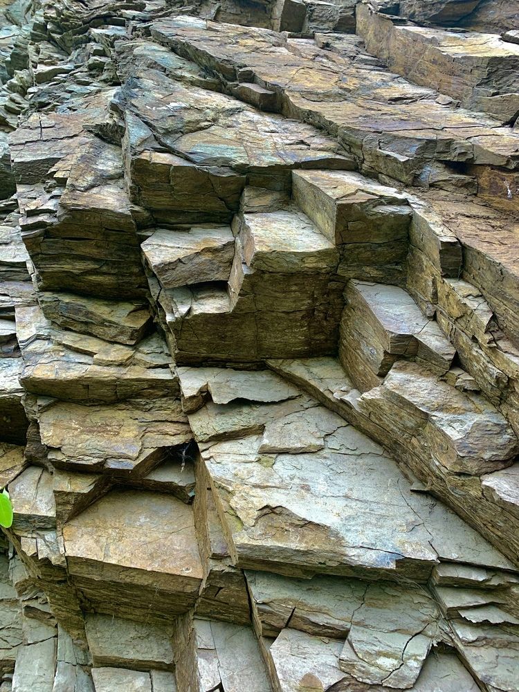 Photograph by Silviu Vladuceanu