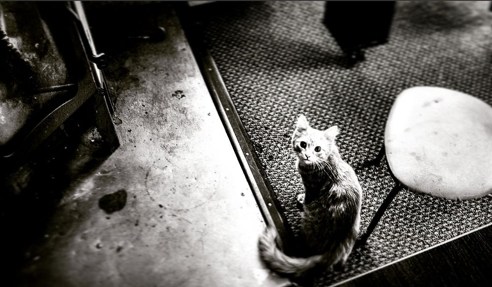 Photograph by Александр Лабутин