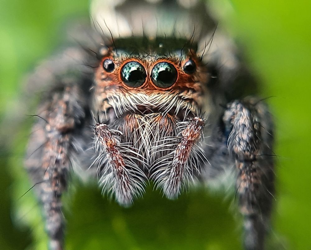 Photograph by S Nair Meenakshy