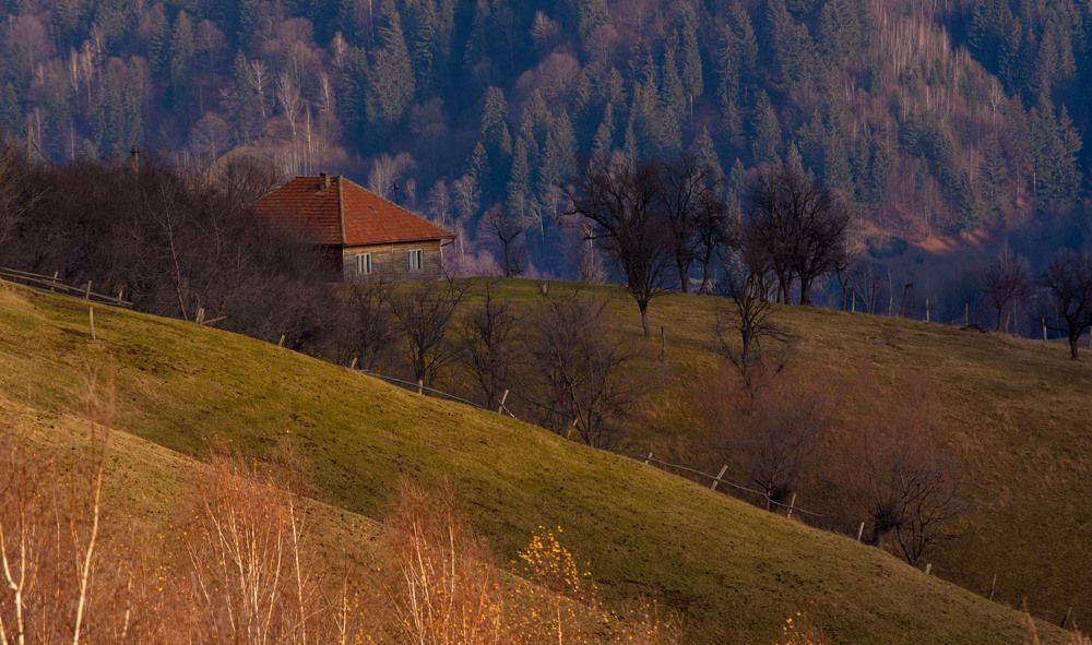 Photograph by Daria Virbanescu