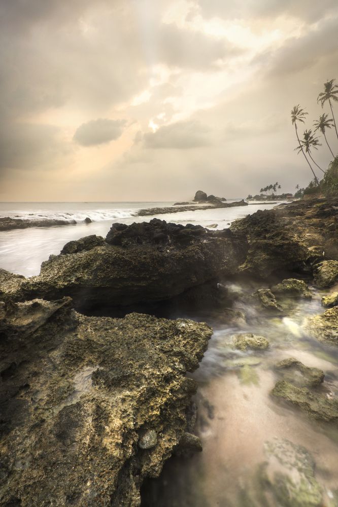 Photograph by Kalpa Chathuranga