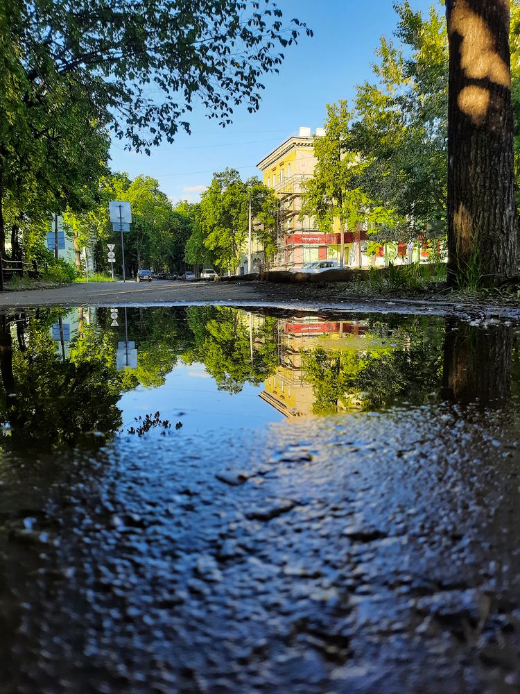 Утро после дождя