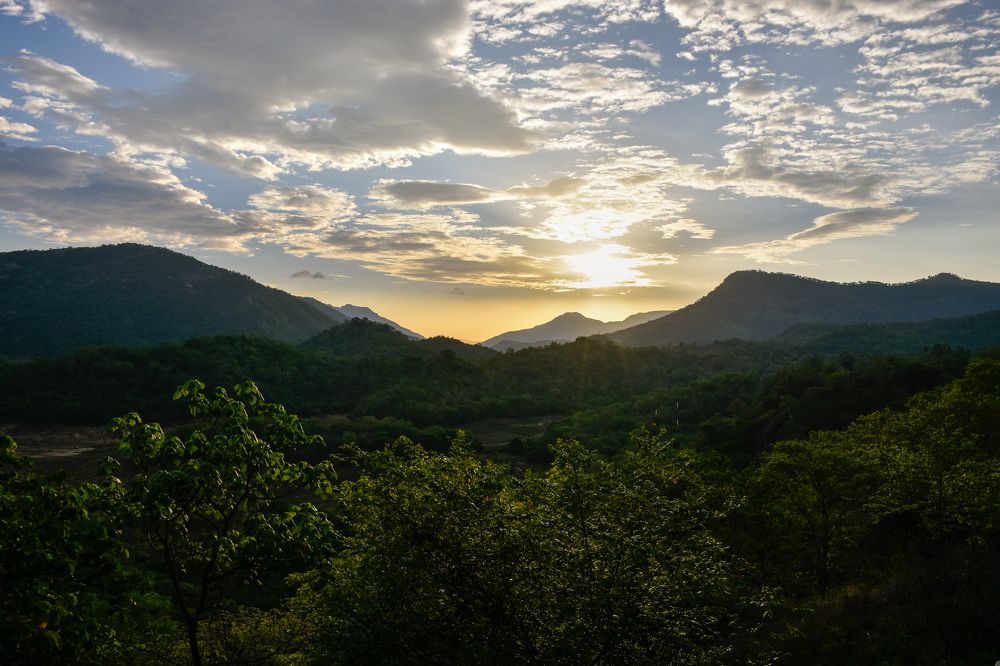 Photograph by Lithira Amarapala