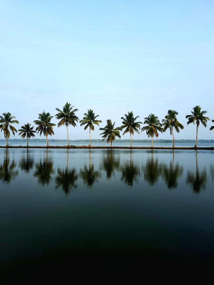 Photograph by S Nair Meenakshy