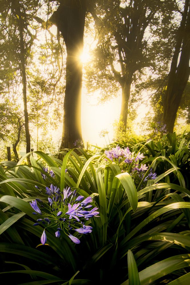 Photograph by Kalpa Chathuranga