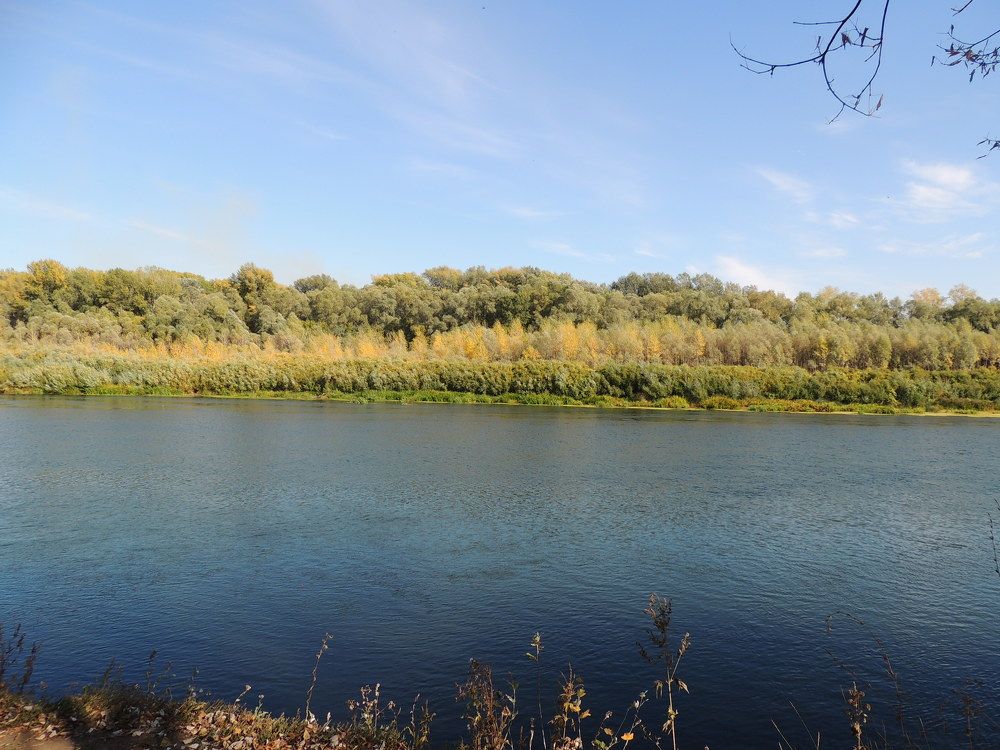 Photograph by Светлана Гринцова