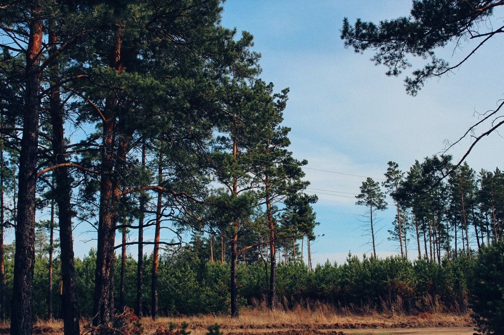 Photograph by Наталья Горбачева