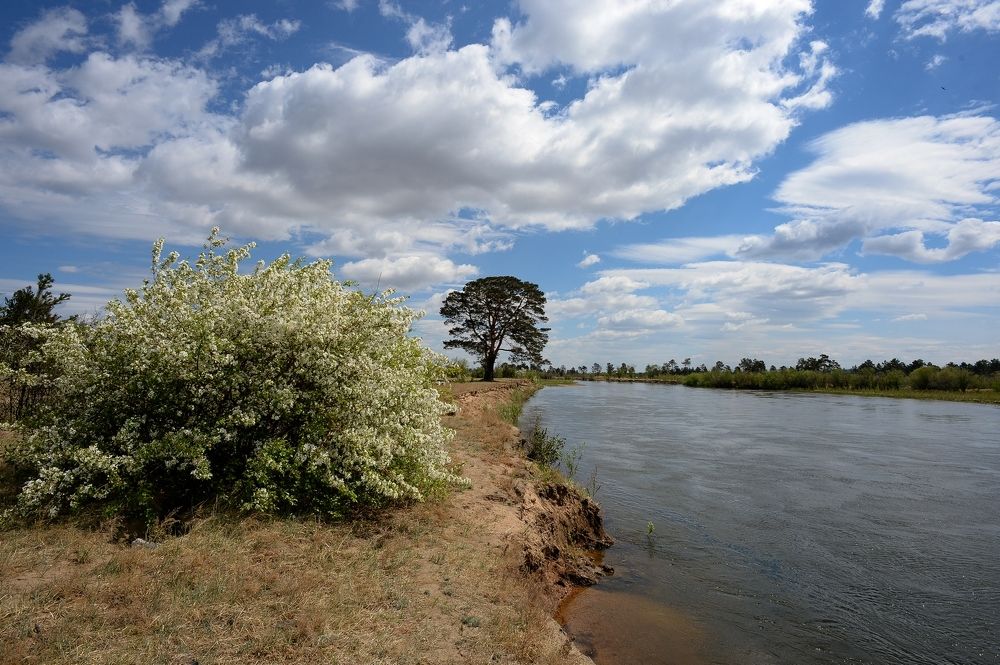 Photograph by Михаил Шергин-Леонов