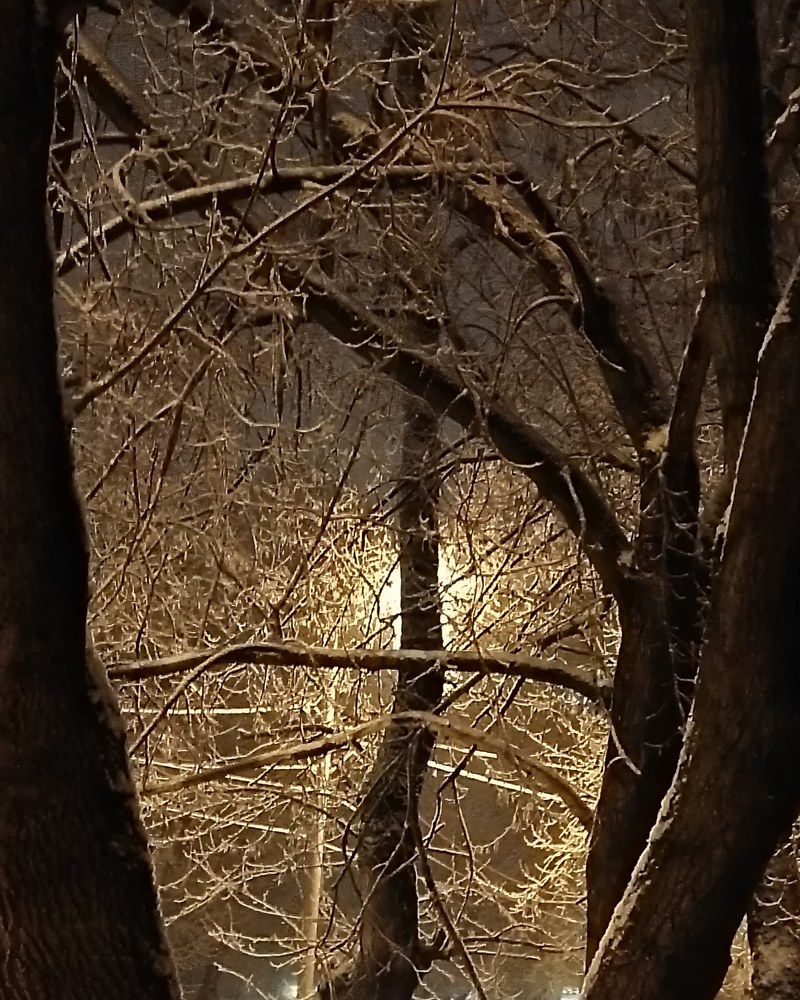 Photograph by Павел Винокуров