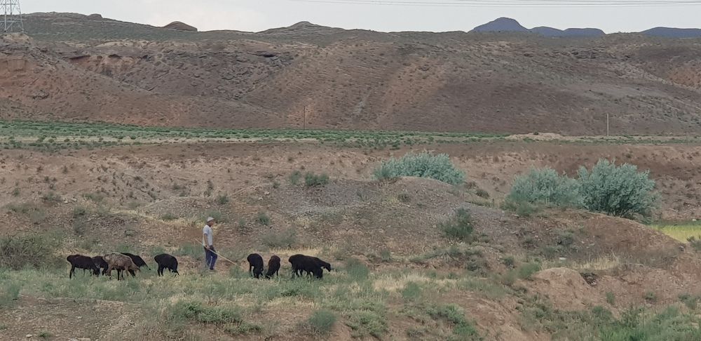 Photograph by Okil Karimov