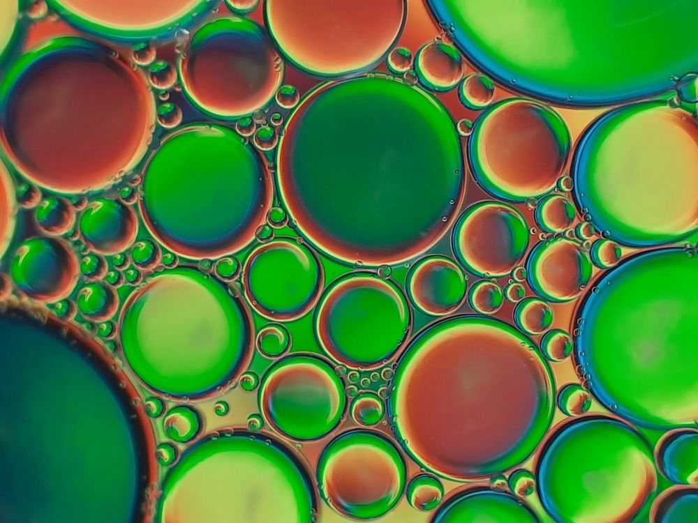 Photograph by S Nair Meenakshy