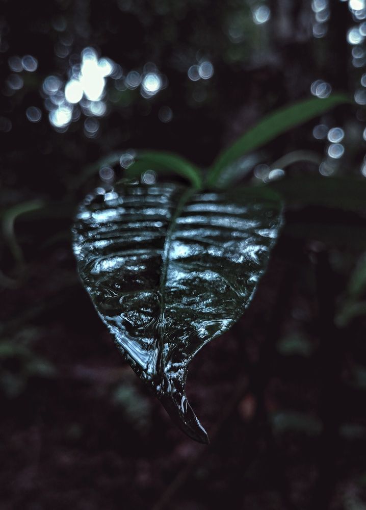 Фотография автора Abhitha