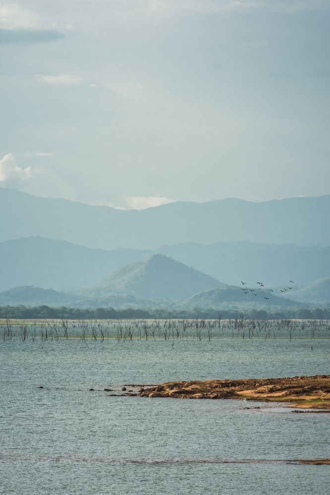 Photograph by Kalpa Chathuranga
