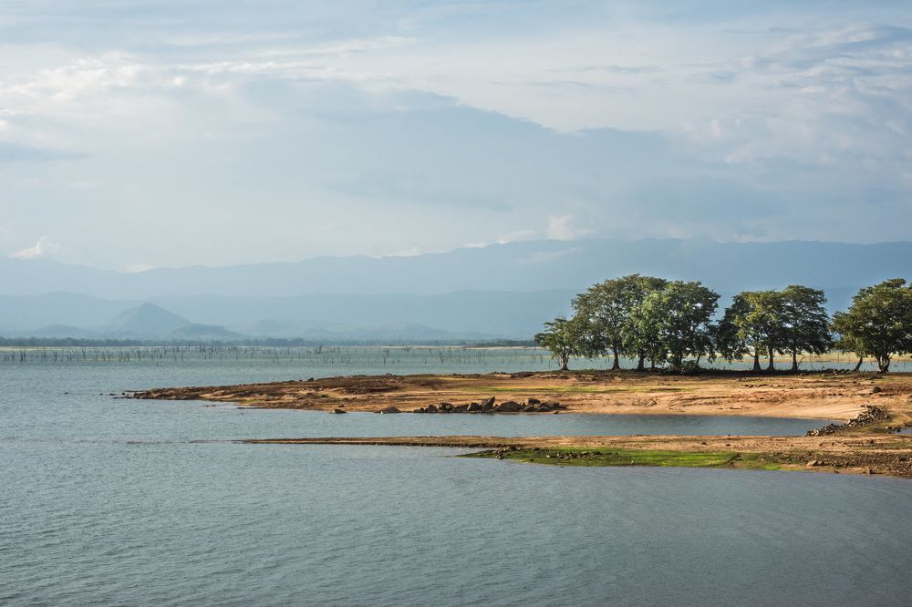 Photograph by Kalpa Chathuranga