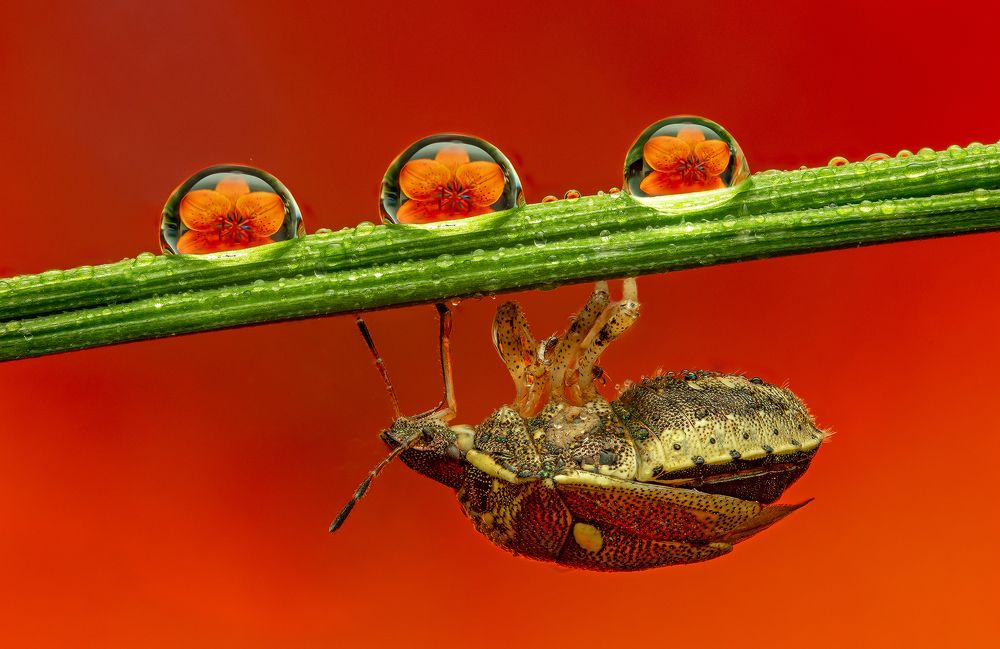 Photograph by Иван Радьков