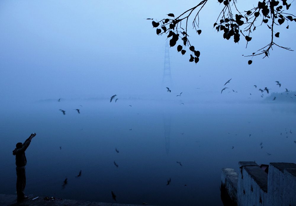 Photograph by Ronit Raina