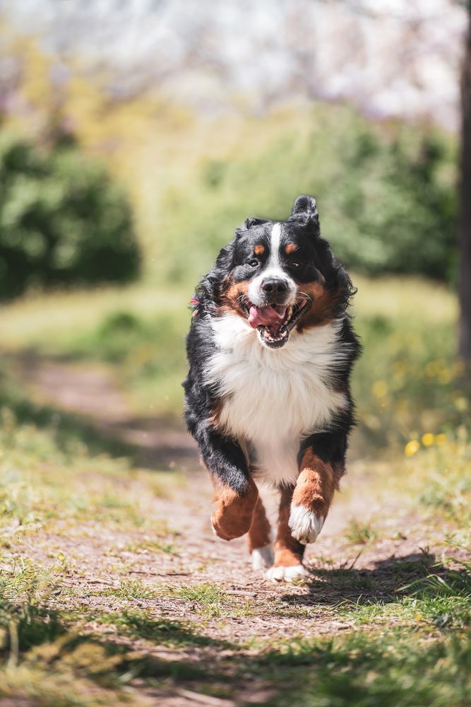 Photograph by Виола Поликарпова