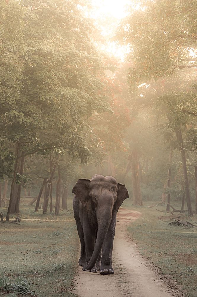 Photograph by John Anthony