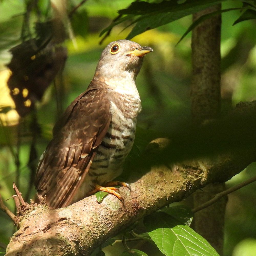 Photograph by Dipayan Chakraborty