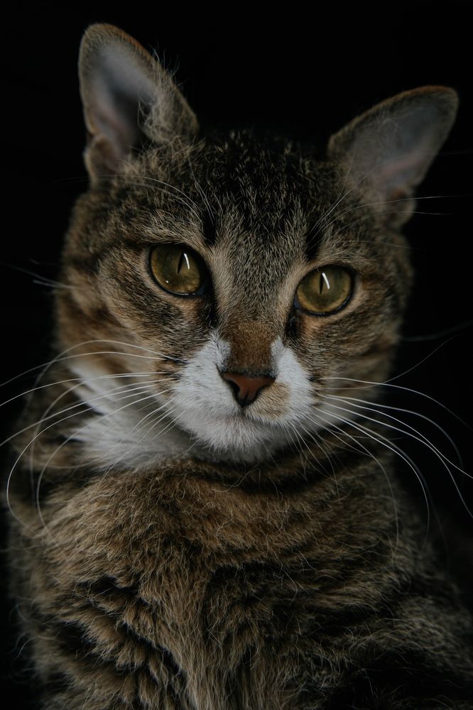 Photograph by Янина Рейфер