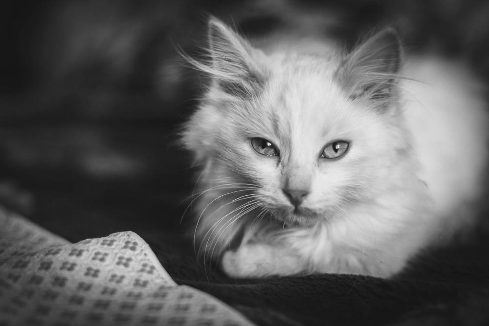 Photograph by Янина Рейфер