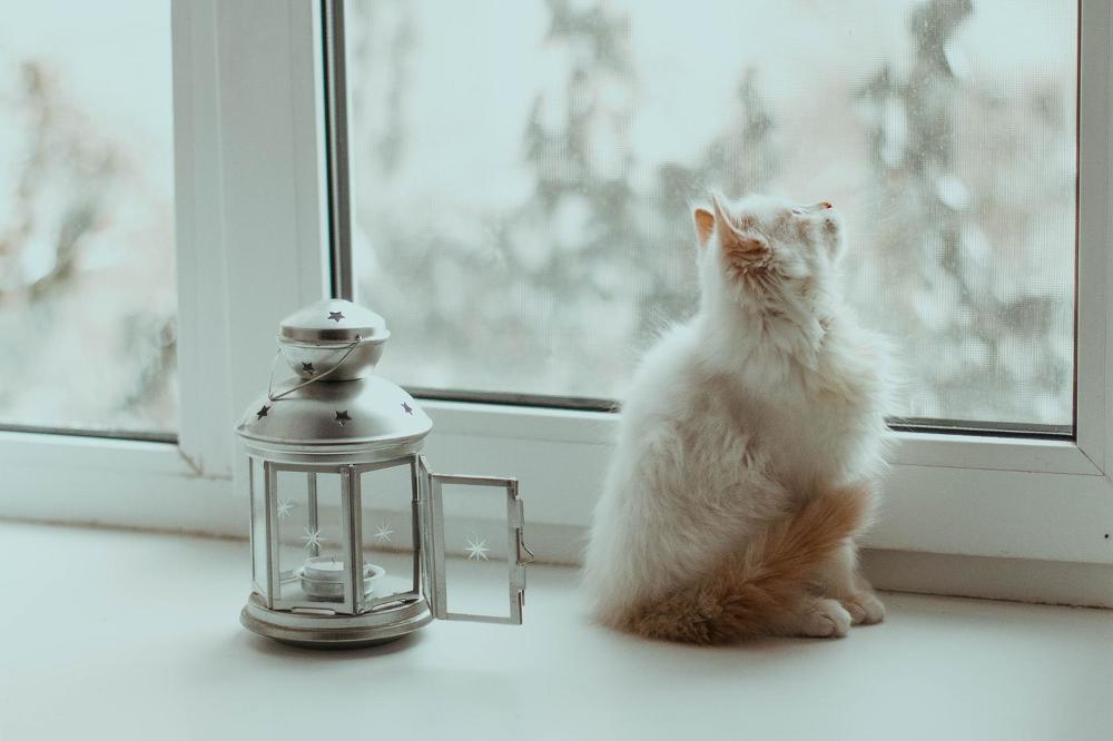 Photograph by Янина Рейфер