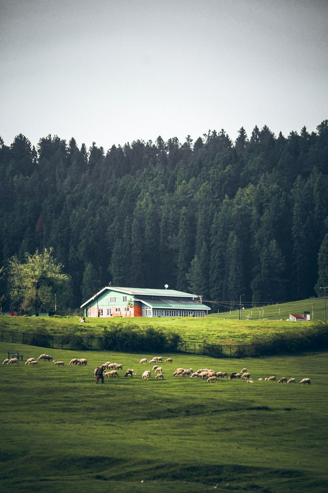 Landscape