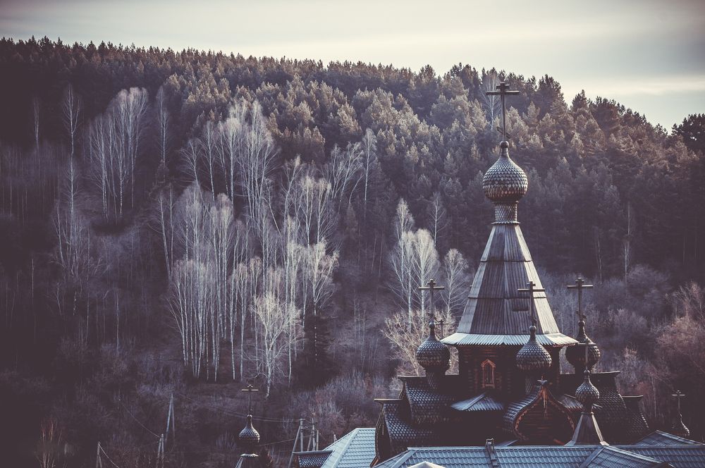 Фотография автора NIKOLAY KALININ