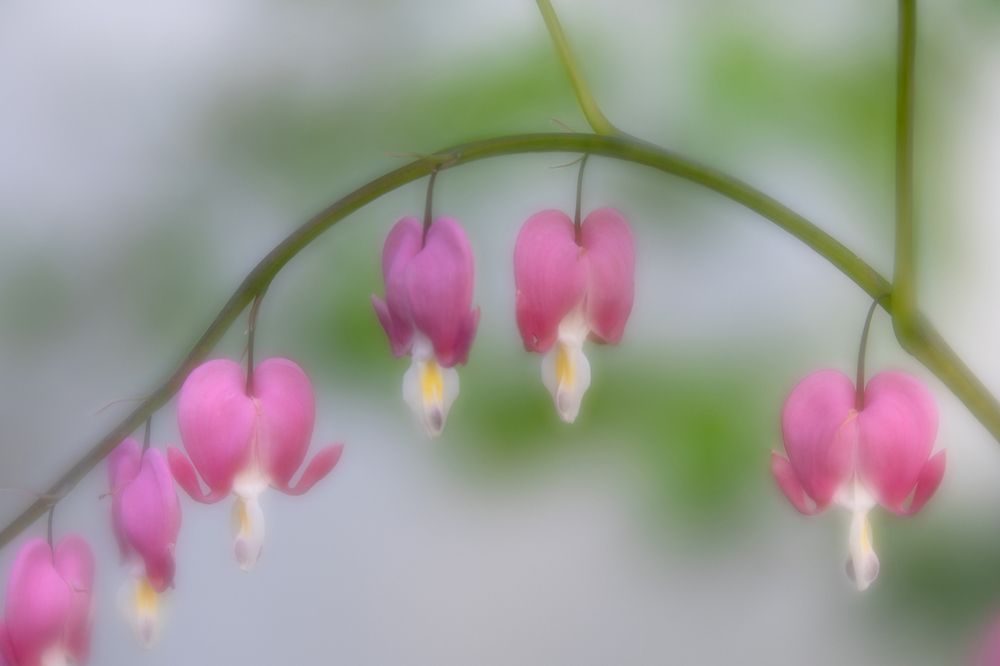 Photograph by Turid Bjørnsen
