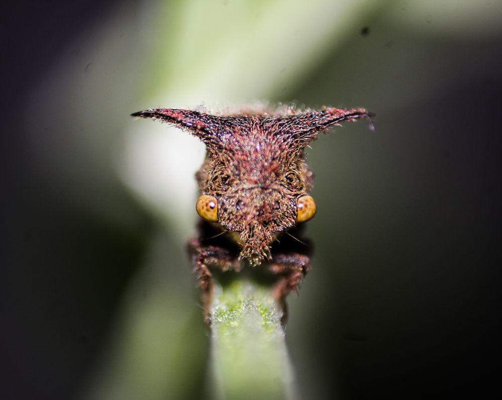 Photograph by Utsav Bhatt