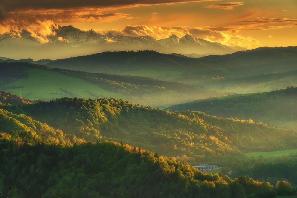 Photograph by Michał Sośnicki