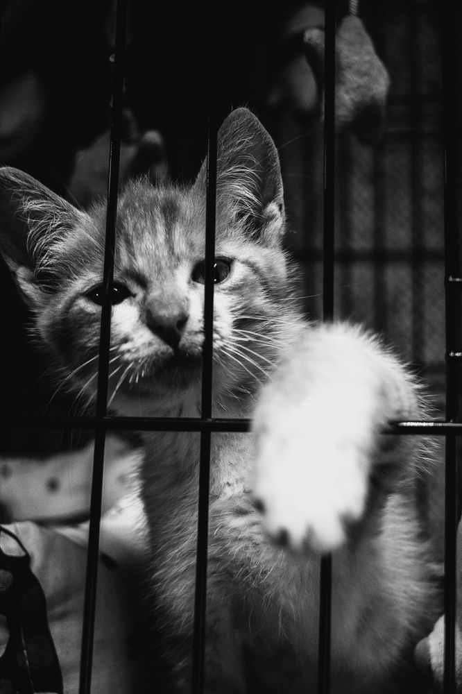 Фотография автора Андрей Вязьмин