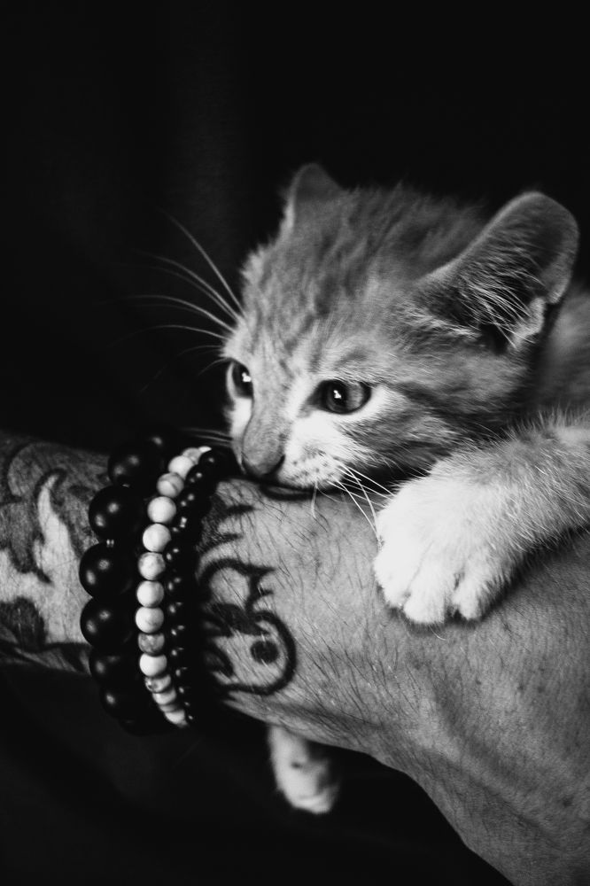 Фотография автора Андрей Вязьмин