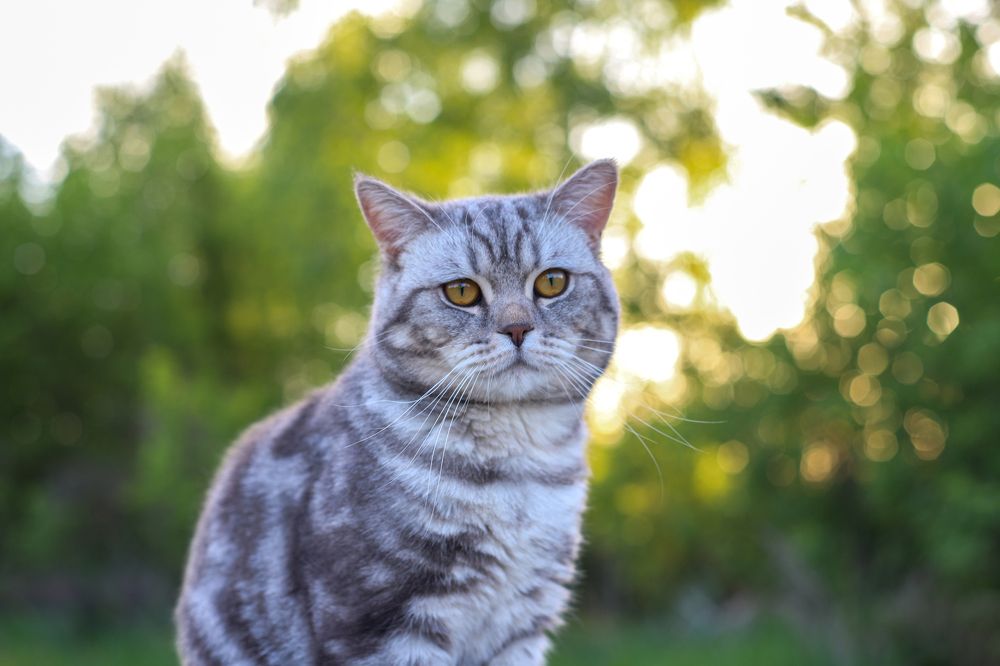 Photograph by Богдан Тарасов