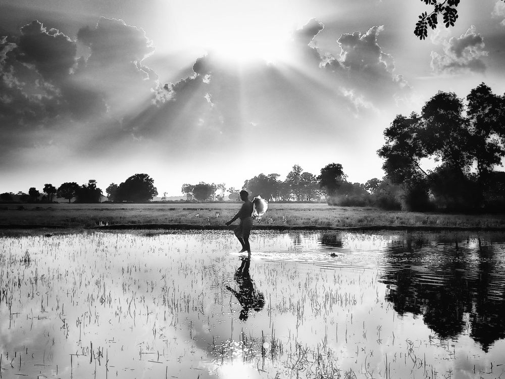 Photograph by Prabas Kumar Sahoo