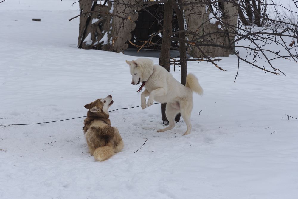 Photograph by Антон Бойков